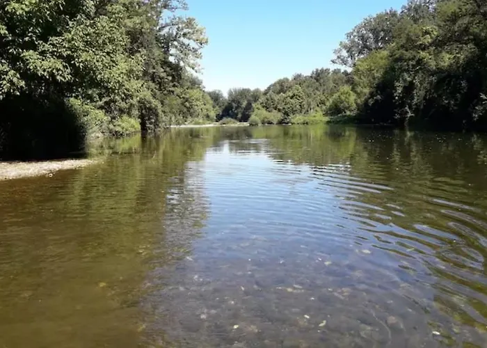 Le Phoenix 30 M2 - Lumineux Et Bien Agence Lejlighed *